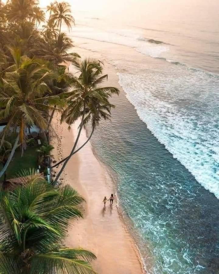 Oesis - Stylish Villa Steps From Historic Galle Fort المظهر الخارجي الصورة